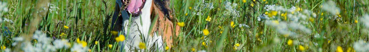 image00022